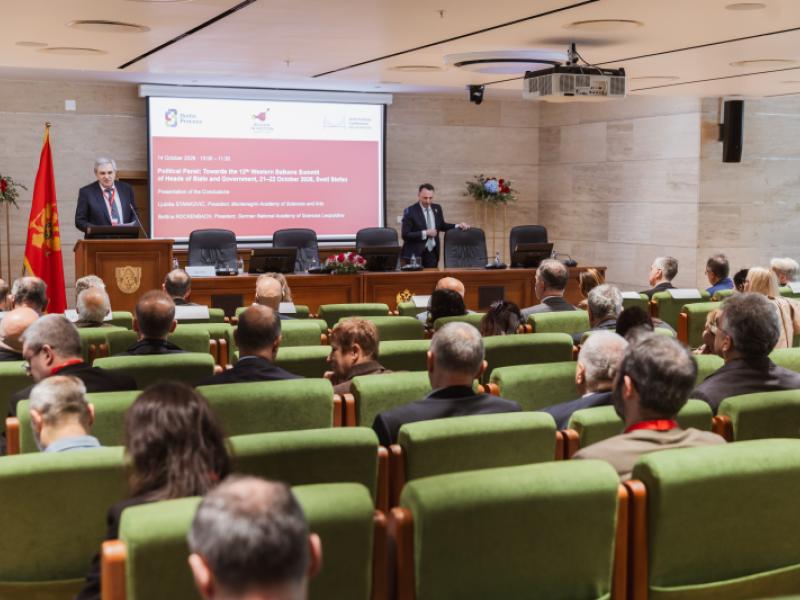 U CANU održan Politički panel u okviru 10. zajedničke naučne konferencije Berlinskog procesa